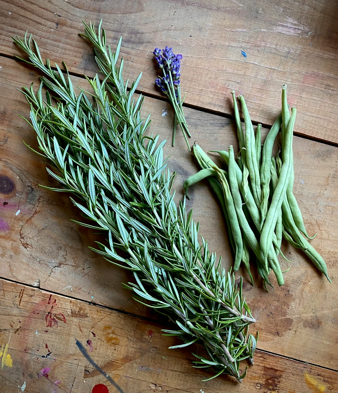 approach-img a-bunch-of-herbs-sitting-on-top-of-a-wooden-table-pqu9qan99i4